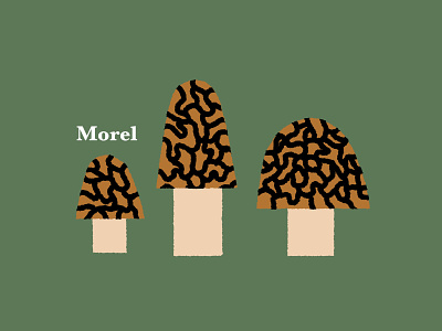 Morel Mushrooms icon illustration logo logodesign minimal morel mushrooms typography