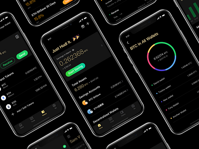 Bpal Wallet UI Design black block chain btc ui wallet 应用 设计