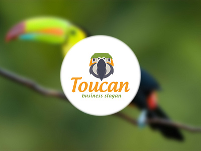 Toucan Bird Logo bird business corporate creative logo parrot professional toucan