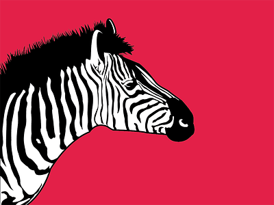 Zebra animal illustration matthewhall mthw vector web zebra