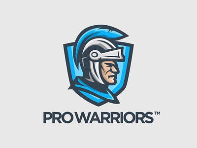 warriors brand knight logo spartan warriors.