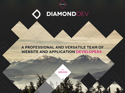 Diamonddev web (wip) dark diamond header landing website