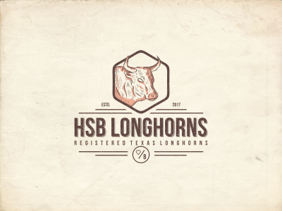 HSB LONGHORNS brand branding designs dog dota2 esports fire flame games logo skull sports
