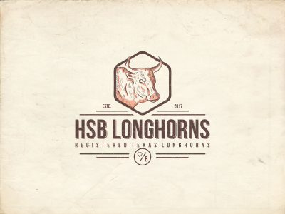 HSB LONGHORNS