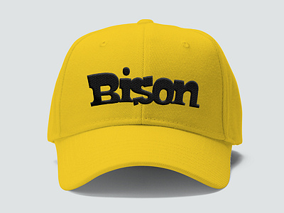 Cap Bison 2