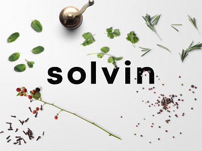 solvin brand branding logo mockup typography