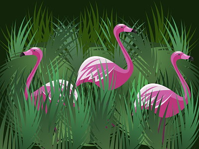 Flamingos flamingo illustration sketch