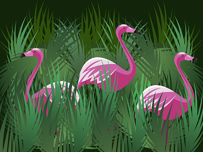 Flamingos