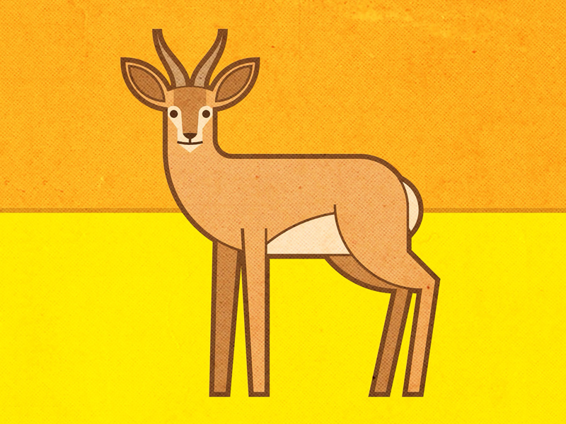 Negev Desert Animals Deer By Ron Nadel On Dribbble   4ec76ac60e0ca097e17aacd73819928f 