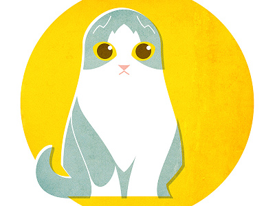 Bilu cat cute graphic illustrator kawaii kitten print scottish fold