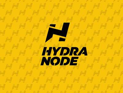 Logo Hydranode - your own Bitcoin and Lightning node. bitcoin bitcoin services branding design lightning logo node ui