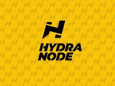Logo Hydranode - your own Bitcoin and Lightning node.