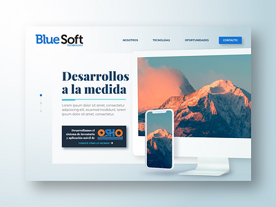 BlueSoft website proposal design sketchapp technology ui website