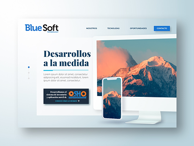 BlueSoft website proposal