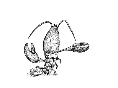 Lobster dots illustration noise