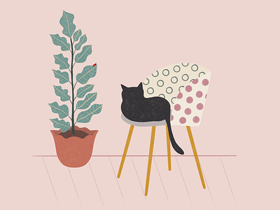 The cat is on the chair cat digital art digital illustration graphic design illustration illustration art illustration design ladybug procreate