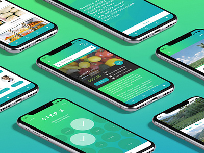 YUCO app branding ecology localization ui ux design uidesign ux ux strategy