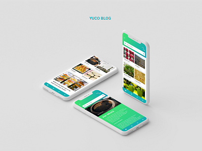 Yuco Blog app branding ecology travel vegan vegetarian