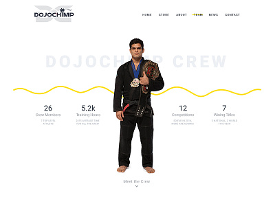 DojoChimp Website jimdo webdesign