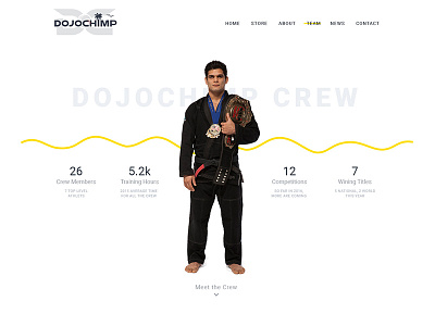 DojoChimp Website