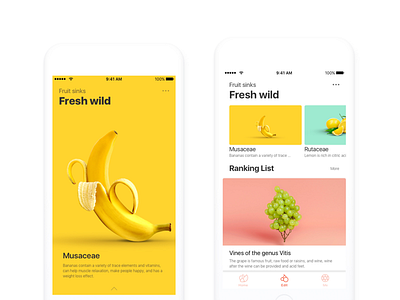 Fresh wild colour community design fruit ios move share ui