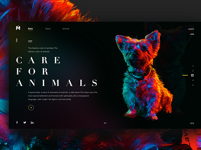 Care for animals animals classification carnival click color design discover flip register share style theme webpage
