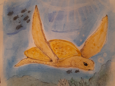 Turtle! charcoal colored pencil deepsea illustration turtle watercolor