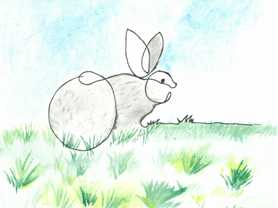 Rabbit