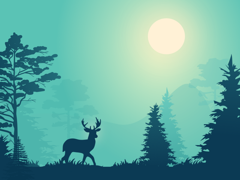 The deer and forest by Lvvv on Dribbble