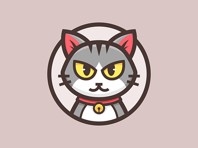 Cat_🐈 animal cat cool eyes