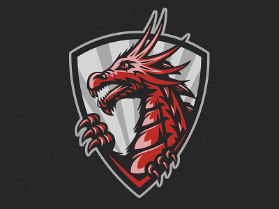 Dragon branding dragon illustration logo shield sport vector