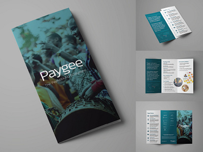 Paygee Brochure company brochure corporate design print