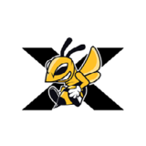 MobileXapps Company