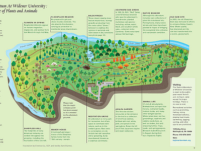 Taylor Arboretum Map editorial design illustration magazine map