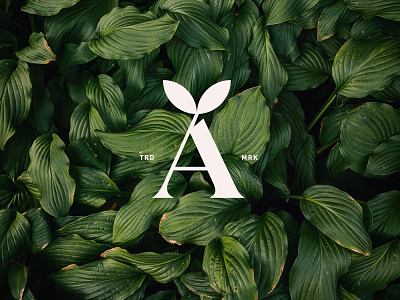 A for aesthetics a for aesthetics a logo beauty branding identity leaf logo logomark minimal