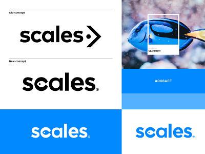 Scales animal bleu brand branding fish fishing identity illustration logo logomark mark minimal monogram rebranding redesign typography