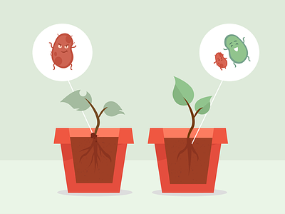 Take Care of Your Plants illustration plant
