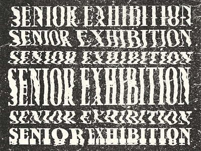 Senior Exhibition Distortion distort glitch nmu scan scanned scanner senior senior exhibition senior show stretch