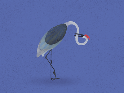 Sandhill crane bird birds blue crane illustration procreate sand hill sandhill crane texture
