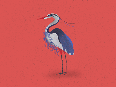 Blue heron bird birds blue heron illustration pink procreate stripes texture