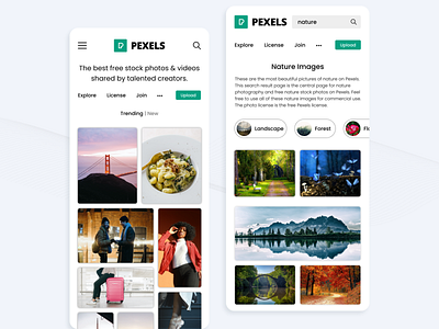 Pexels Applicaation Concept app design design explore mobile ui photos stock ui