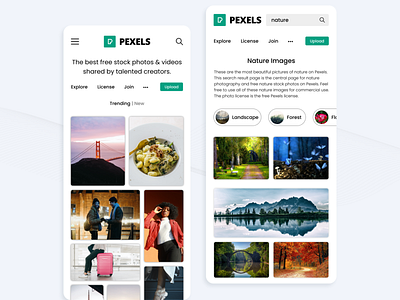 Pexels Applicaation Concept