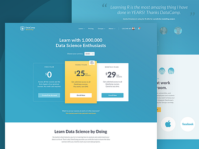 Pricing Page 2d blue cards datacamp datascience pricing ui ux