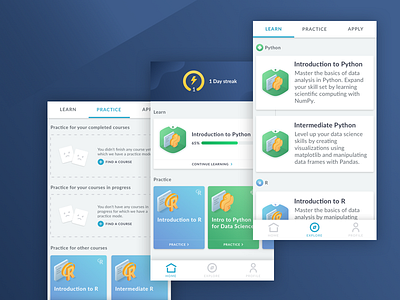 DataCamp Mobile App Redesign data science design learn mobile app ui ux