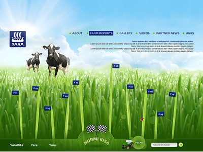 Nurmikisa grass growing competition microsite microsite webdesign yara