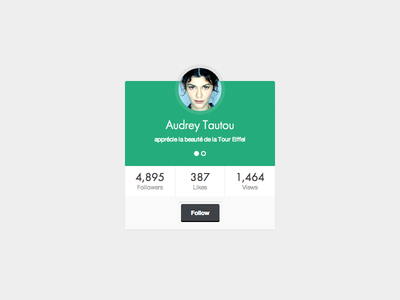 Mini Profile