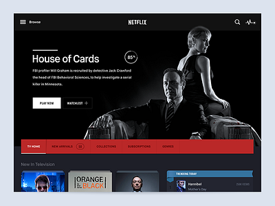 Netflix iPad App ipad app movies netflix user interface