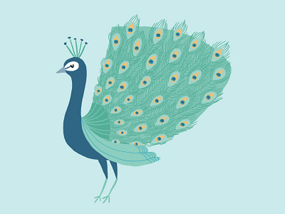 Peacock Illustration animal bird character childrens book cute feathers illustration peacock soft turquoise
