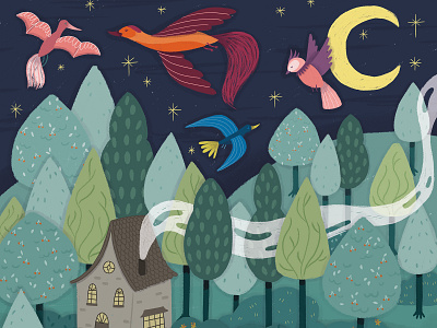 Folktale Week illustration - Forest birds challenge childrens book digital illustration enchanted forest illustration magic mysterious nature night storybook