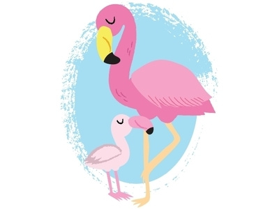 Flamingos animals children childrens childrens illustrations cute illustration picturebook vector